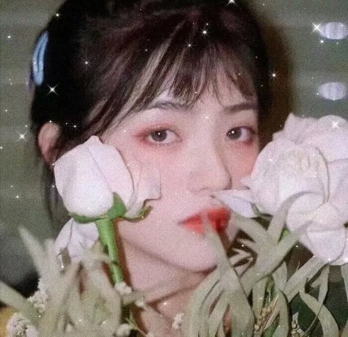 无业楼民粤语